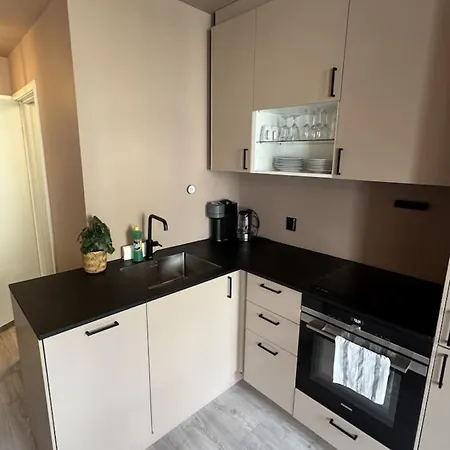 Modern And In Apartament Trondheim